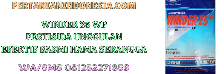 winder 25 wp,winder,insektisida,insektisida winder,cap kapal terbang,pertanian indonesia